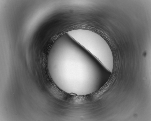 X0000099930762200805230959
