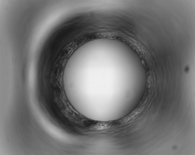 X0000099930764200805230959