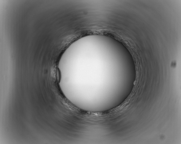X0000099930768200805230959