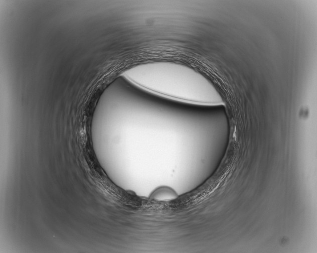 X0000099930771200805230958
