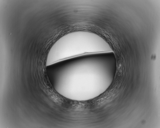 X0000099930772200805230958