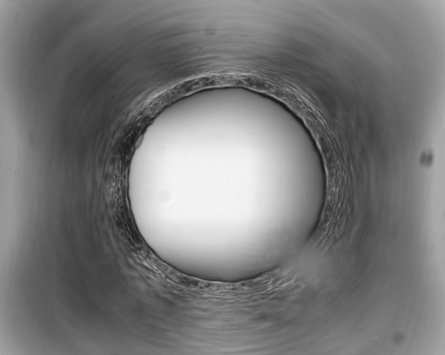 X0000099930773200805230958
