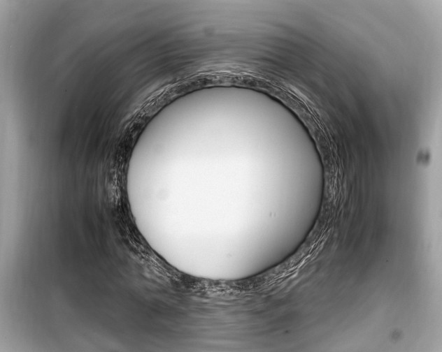 X0000099930774200805230958