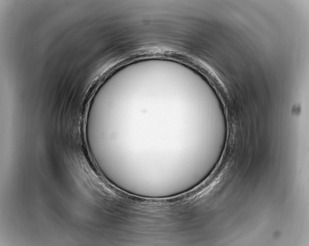 X0000099930778200805230958