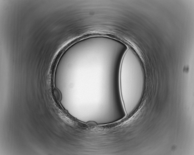 X0000099930779200805230958