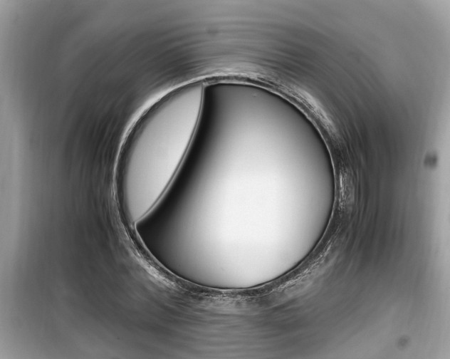 X0000099930780200805230958