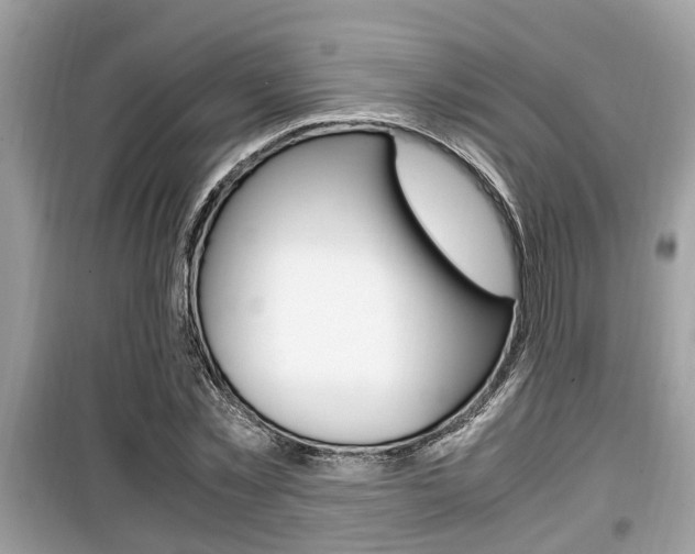X0000099930781200805230958