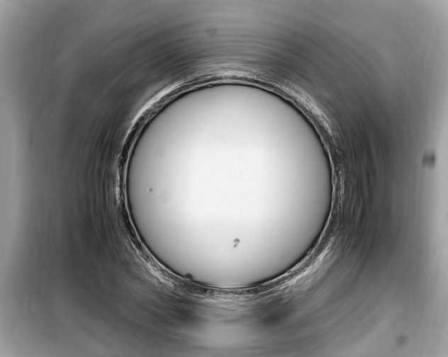 X0000099930782200805230958