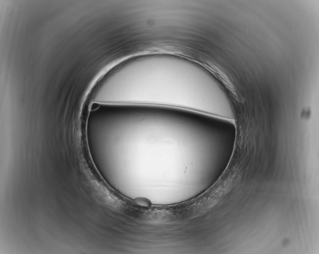 X0000099930784200805230958