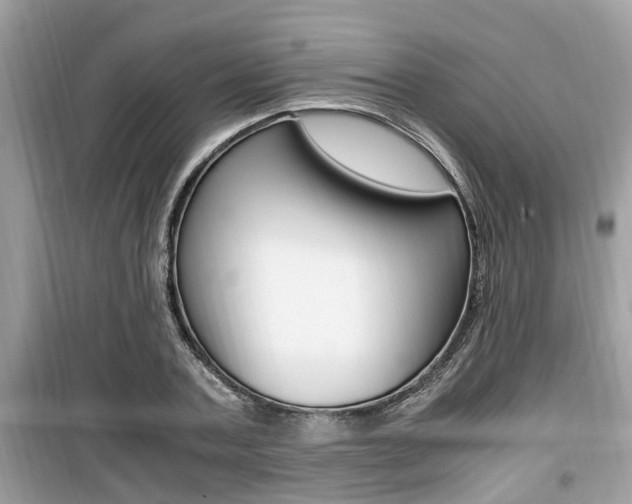 X0000099930787200805230958
