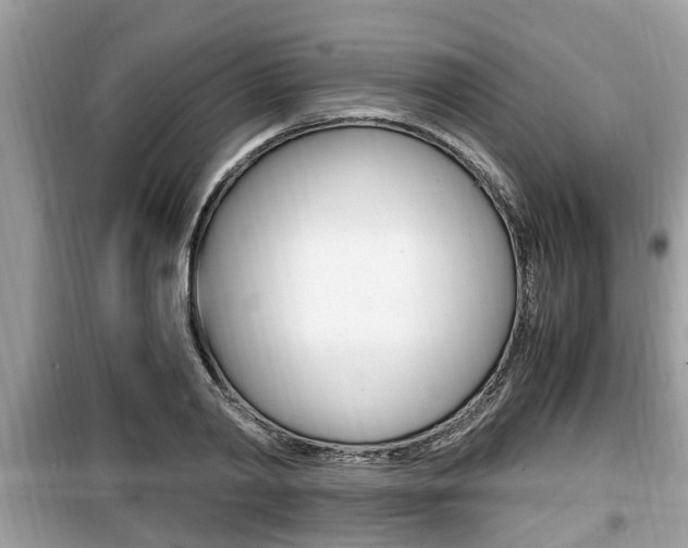 X0000099930790200805230958