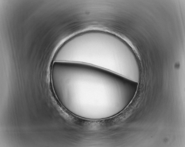 X0000099930791200805230958