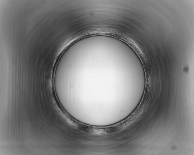 X0000099930794200805230958