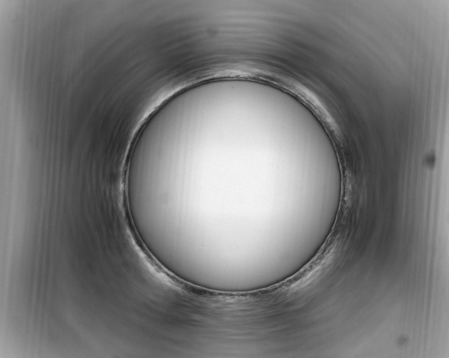 X0000099930802200805230958
