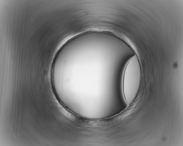 X0000099930803200805230958