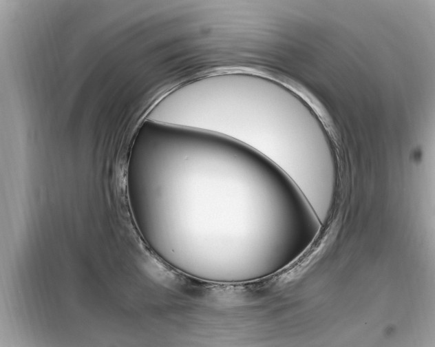X0000099930809200805230958