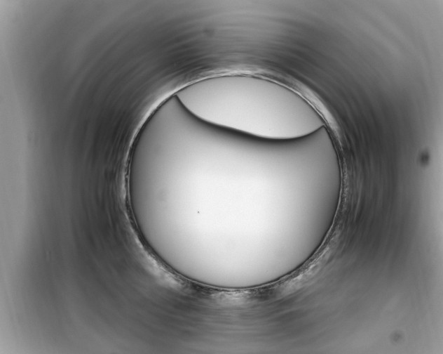 X0000099930810200805230958