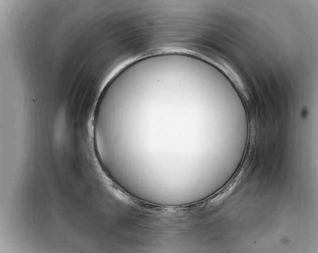 X0000099930814200805230958
