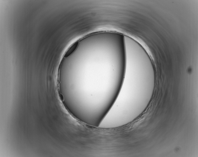 X0000099930815200805230958
