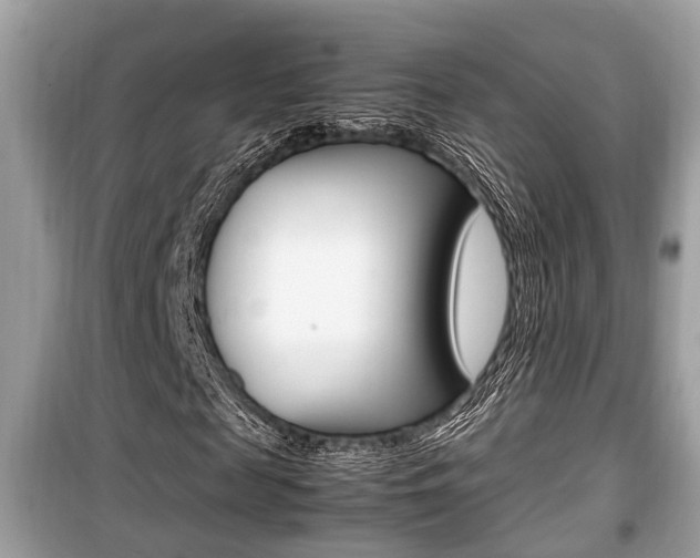 X0000099930817200805230957