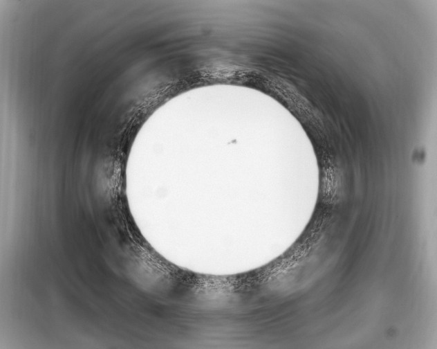 X0000099930820200805230957