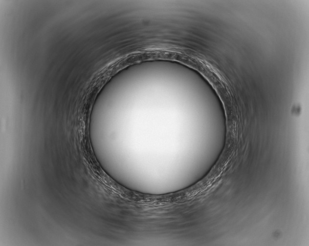 X0000099930821200805230957