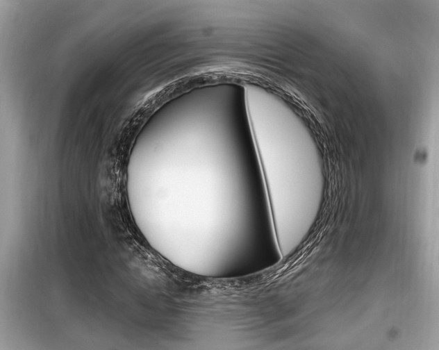 X0000099930822200805230957