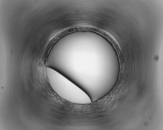 X0000099930823200805230957