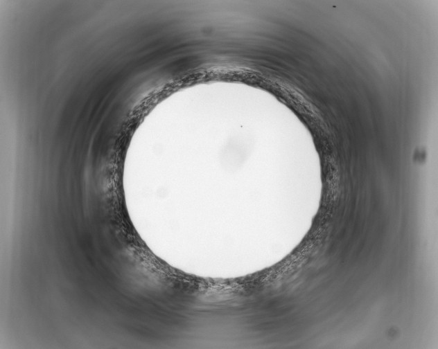 X0000099930824200805230957