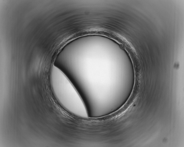 X0000099930825200805230957