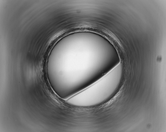 X0000099930826200805230957