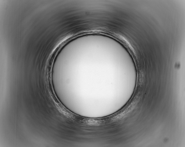 X0000099930827200805230957