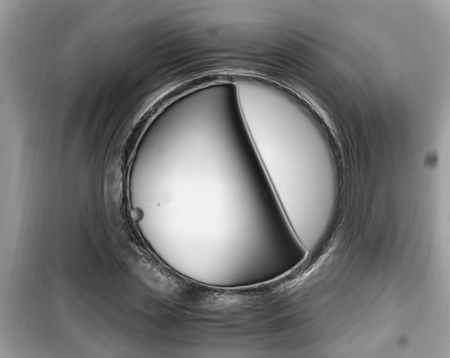 X0000099930829200805230957