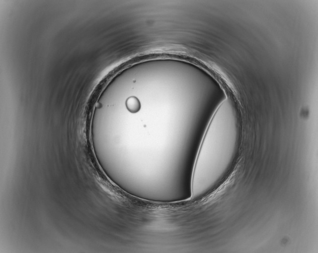 X0000099930830200805230957