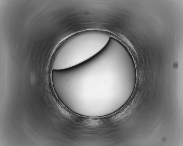 X0000099930831200805230957