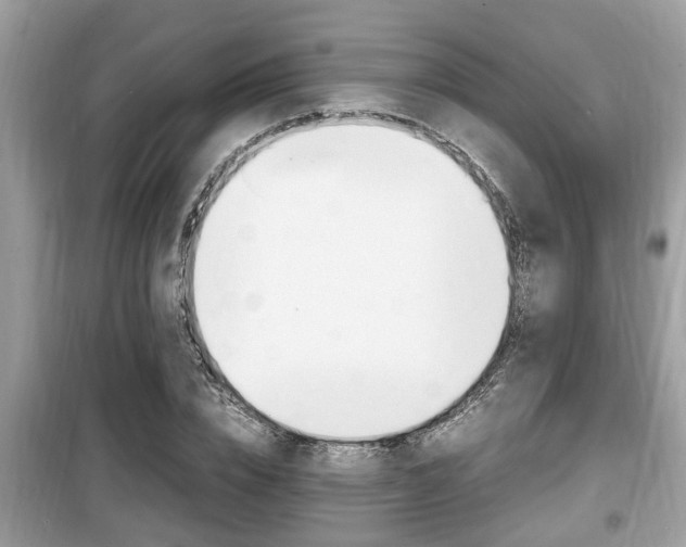 X0000099930832200805230957