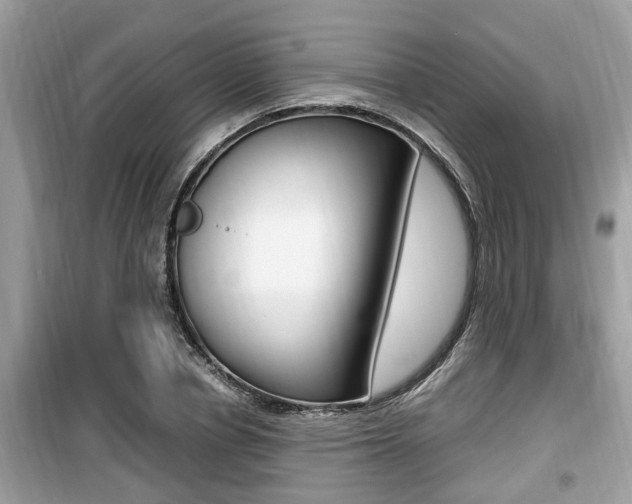 X0000099930834200805230957
