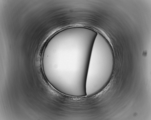 X0000099930835200805230958