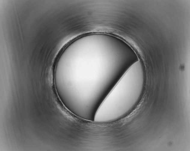 X0000099930838200805230958