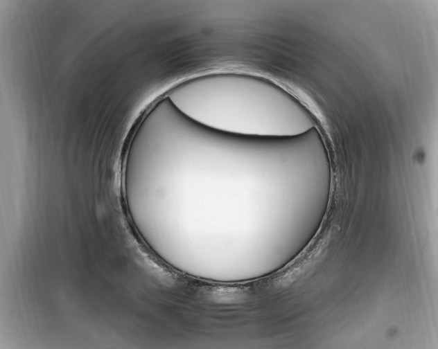 X0000099930839200805230958