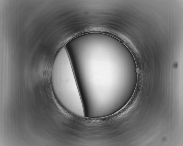 X0000099930841200805230958