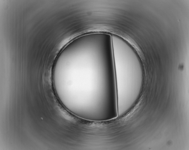 X0000099930842200805230958