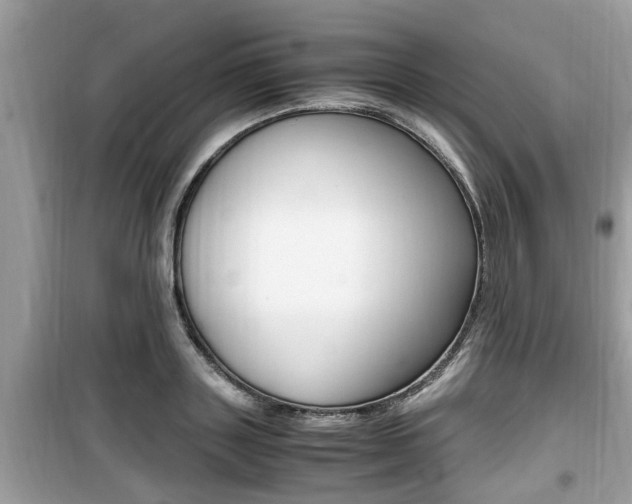 X0000099930843200805230958