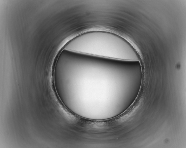 X0000099930845200805230958