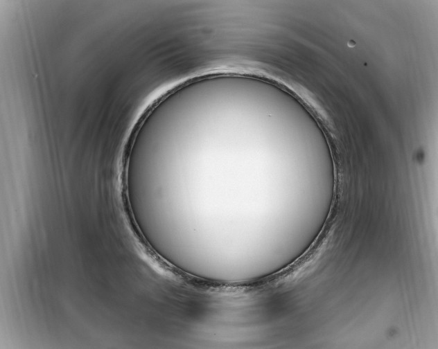 X0000099930846200805230958