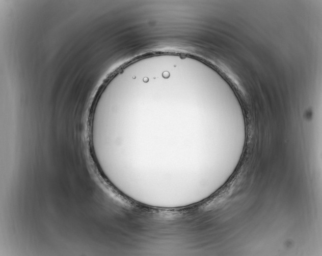 X0000099930848200805230958