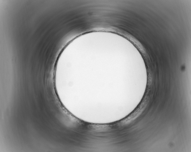 X0000099930856200805230958