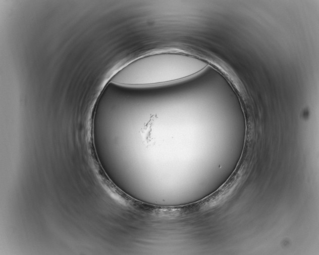 X0000099930858200805230958