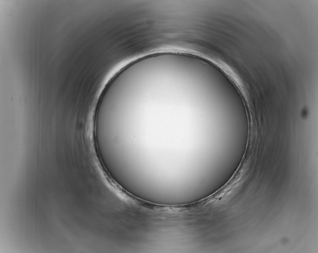 X0000099930862200805230958