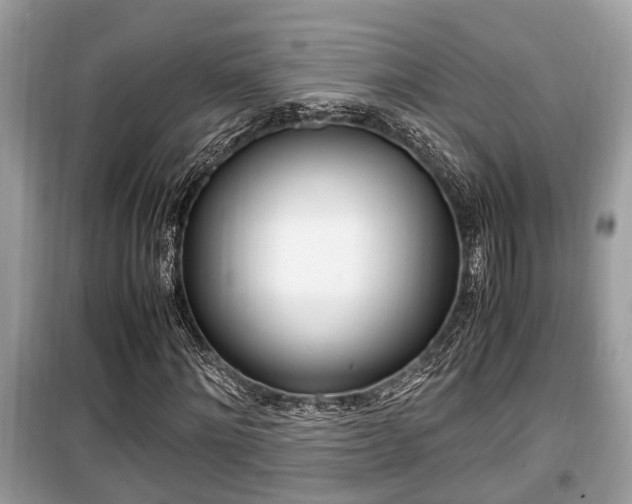 X0000099930868200805230957